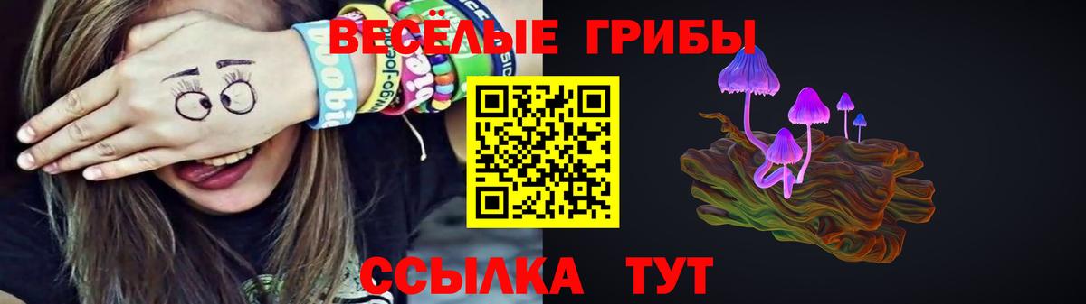 Биробиджан  Псилоцибиновые грибы Cubensis  Вход с VPN 